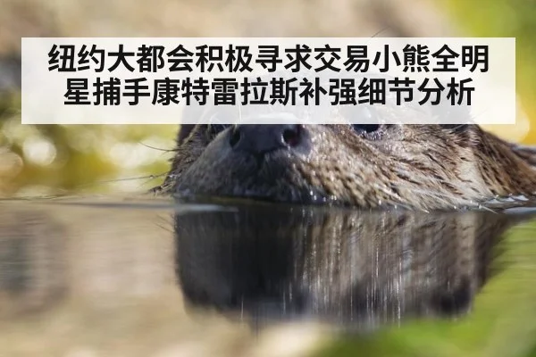 纽约大都会积极寻求交易小熊全明星捕手康特雷拉斯补强细节分析